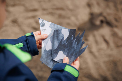 Der Goldschatz der Piraten