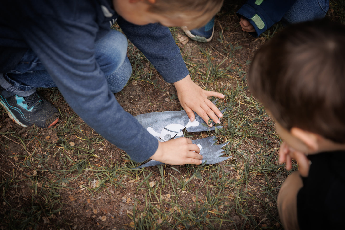 Der Goldschatz der Piraten
