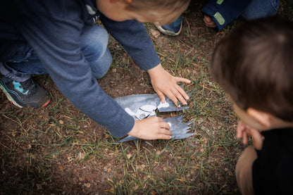 Der Goldschatz der Piraten