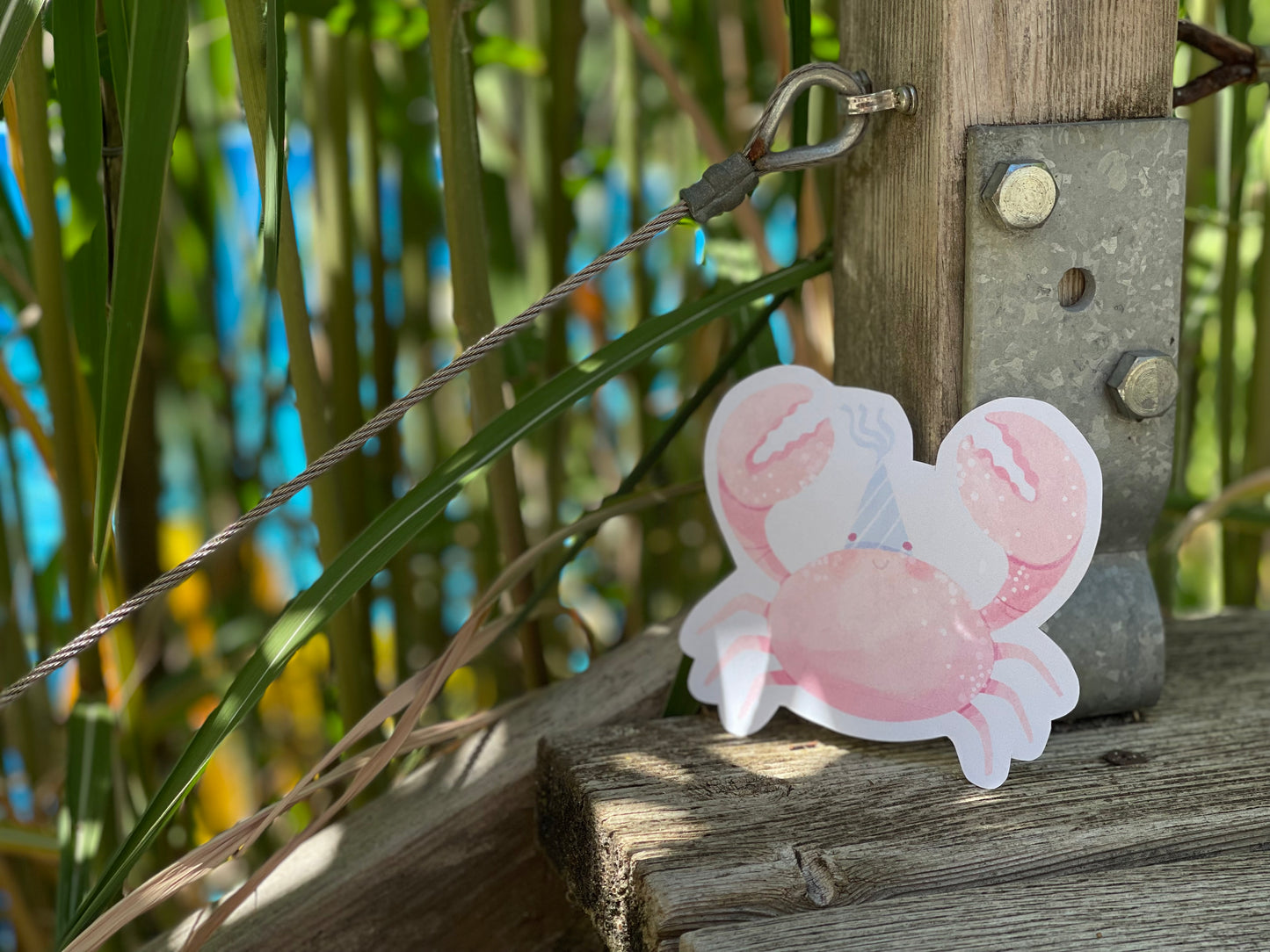 Die geheime Party in der Perlenhöhle